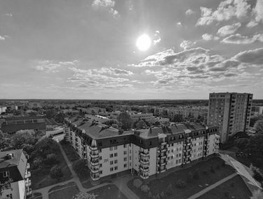 Zdjęcie 15044326