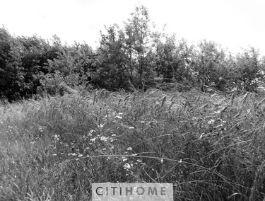Zdjęcie 15044806