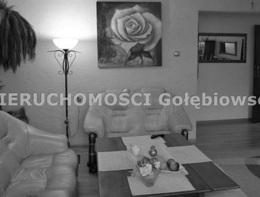 Zdjęcie 15044942