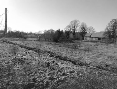 Zdjęcie 15045027