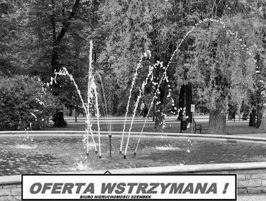 Zdjęcie 15045633