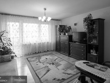Zdjęcie 15045951