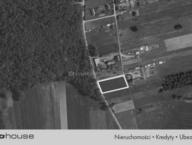 Zdjęcie 15046063