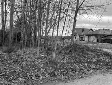 Zdjęcie 15046198