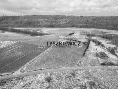 Zdjęcie 15046269