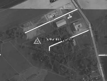 Zdjęcie 15046294