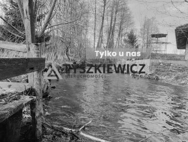 Zdjęcie 15046323