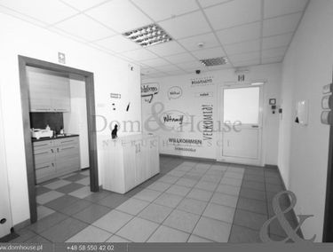 Zdjęcie 15046403