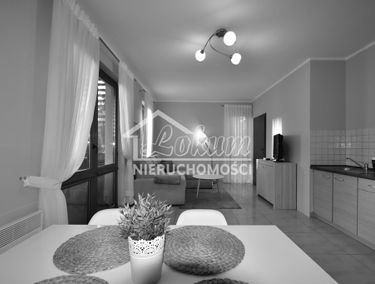 Zdjęcie 15046646