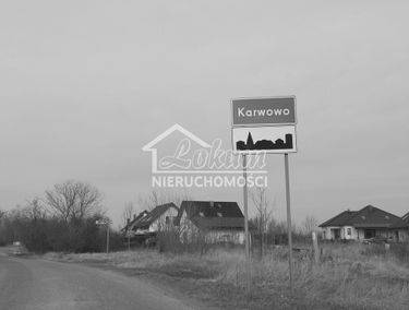 Zdjęcie 15046693
