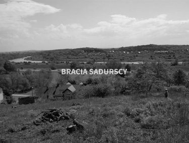 Zdjęcie 15046845