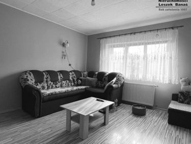 Zdjęcie 15048690