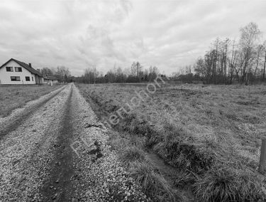 Zdjęcie 15049233