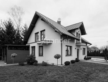 Zdjęcie 15050637