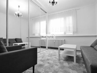 Zdjęcie 15051193