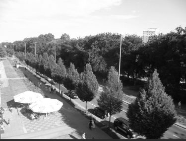 Zdjęcie 15051299