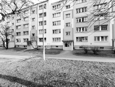 Zdjęcie 15051380