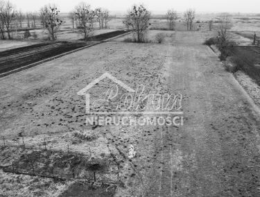 Zdjęcie 15051386