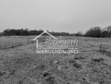 Zdjęcie 15051602