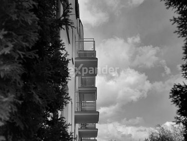 Zdjęcie 15052396