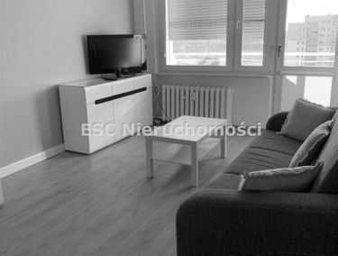 Zdjęcie 15052458