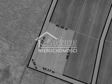 Zdjęcie 15054416