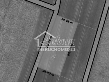 Zdjęcie 15054422