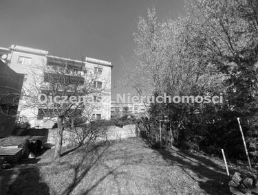 Zdjęcie 15054700
