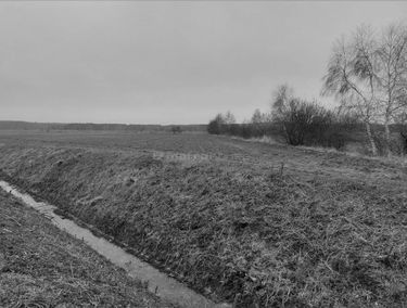 Zdjęcie 15057156