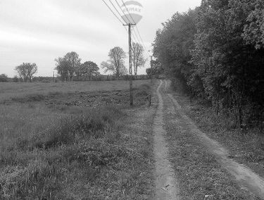 Zdjęcie 15057834