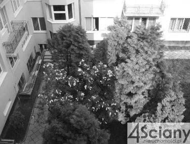 Zdjęcie 15057845