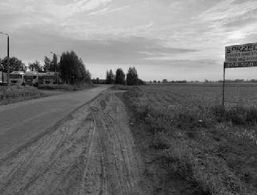 Zdjęcie 15057879