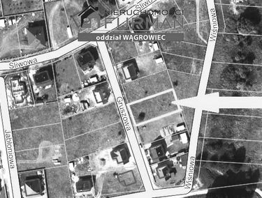 Zdjęcie 15058053