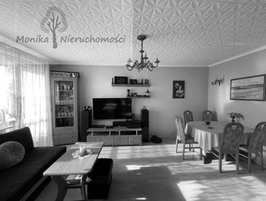 Zdjęcie 15058505