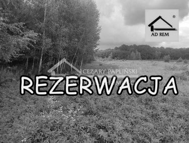 Zdjęcie 15059476