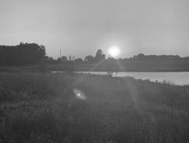Zdjęcie 15059574
