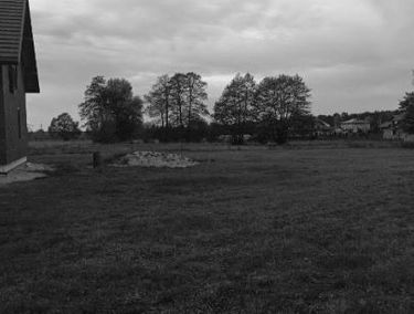 Zdjęcie 15060216