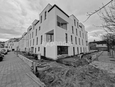 Zdjęcie 15060664
