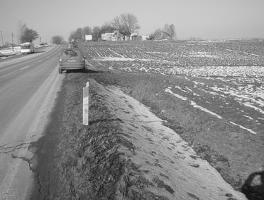 Zdjęcie 15061006