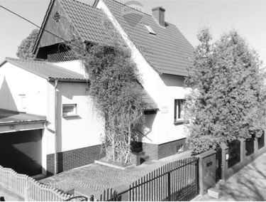 Zdjęcie 15061070