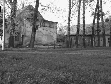 Zdjęcie 15061353