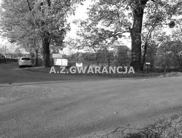 Zdjęcie 15063839