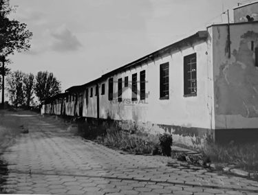 Zdjęcie 15063876