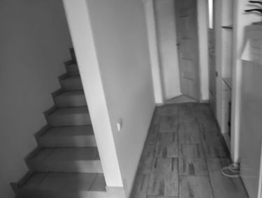 Zdjęcie 15064293