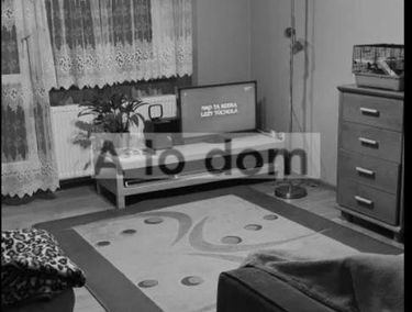 Zdjęcie 15065177
