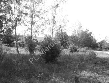 Zdjęcie 15065576