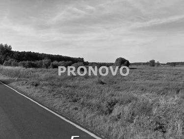 Zdjęcie 15065667