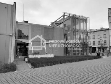 Zdjęcie 15065906