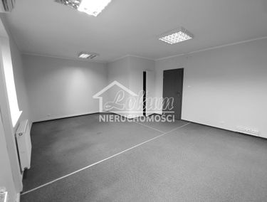 Zdjęcie 15066357