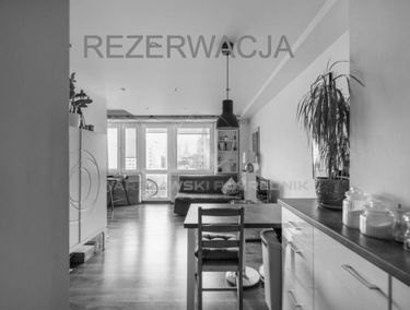 Zdjęcie 15066675